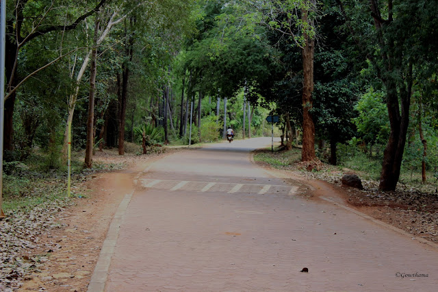 Auroville, Puducherry