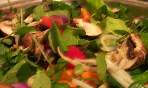 Cold and Colorful Salad with Sprouts Mushrooms and Carrots
