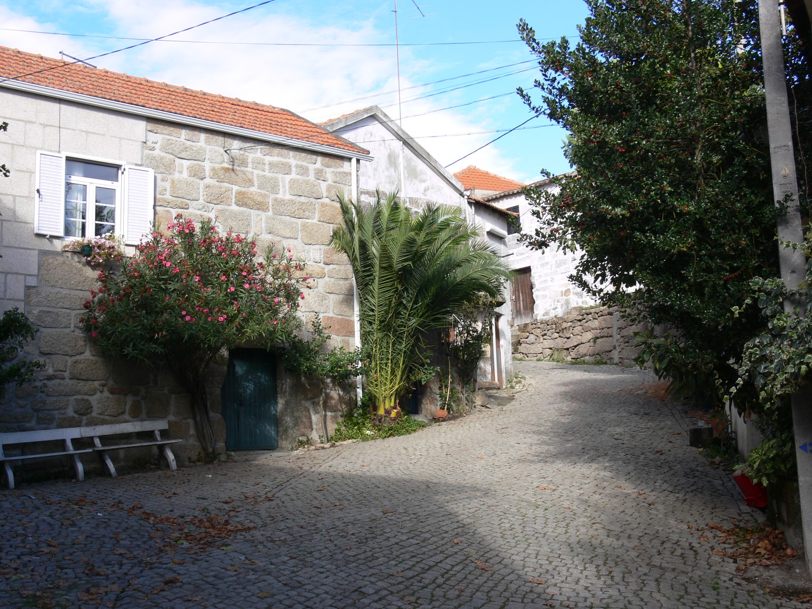 ripar ansiães Pinhal do Norte