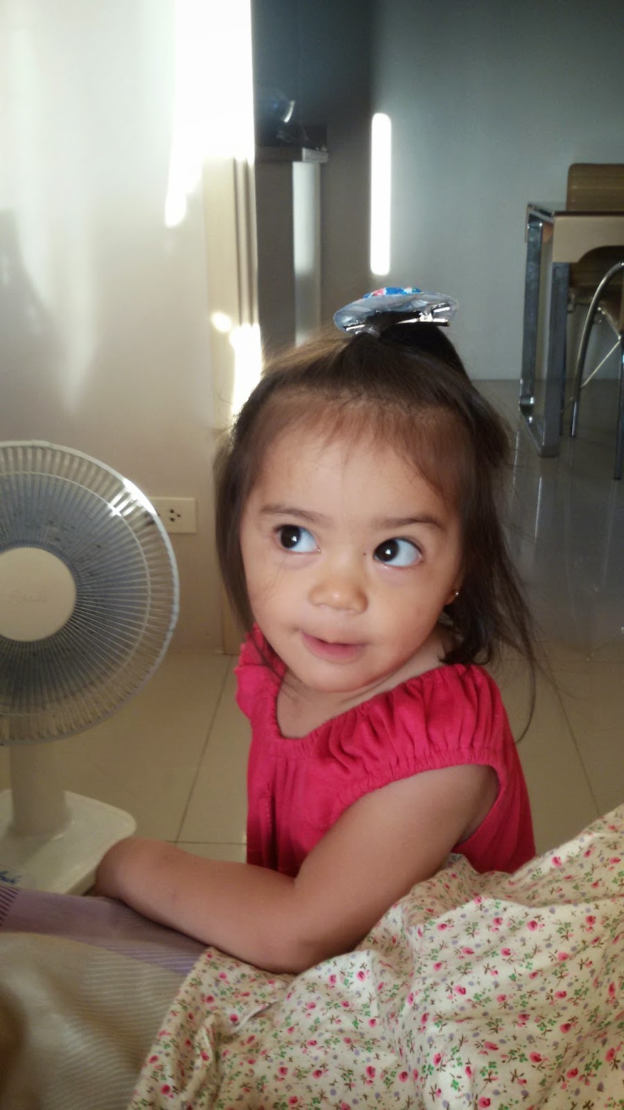 My Everyday April 2015