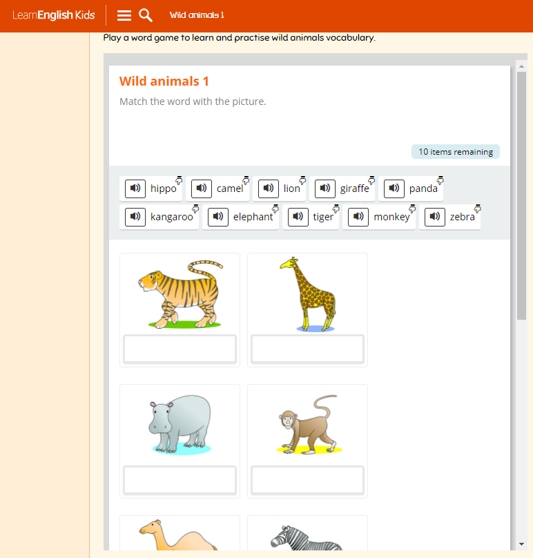 Leslie's corner: 5 years-Wild Animals