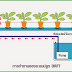 ระบบการปลูกผักไฮโดรโพนิคส์แบบปรับระดับน้ำ (DRFT)