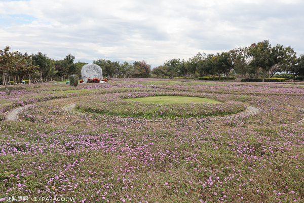 台中后里景點|后里花田綠廊|環保公園|1.2公頃繽紛花海|棒棒糖花海 台中后里景點|后里花田綠廊|環保公園|1.2公頃繽紛花海|棒棒糖花海