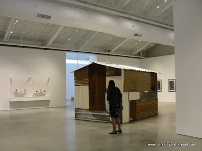 exhibit in Architecture of Life show at new Berkeley Art Museum in Berkeley, California