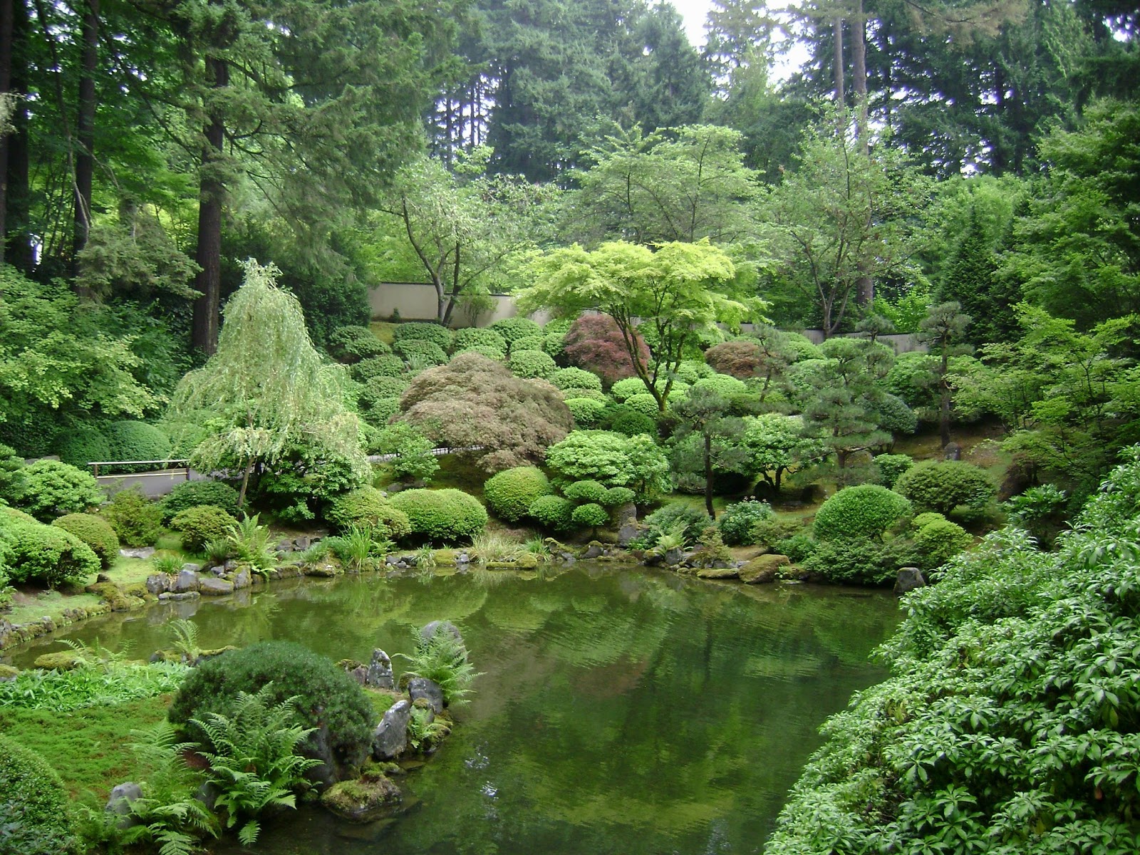 Prairie Rose's Garden: Welcome to My Japanese Garden!