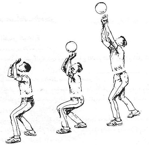 عند تمرير الكرة بالأصابع للأمام وللأعلى يكون شكل راحتا اليدين محدبتين بشكل مناسب لاستدارة الكرة