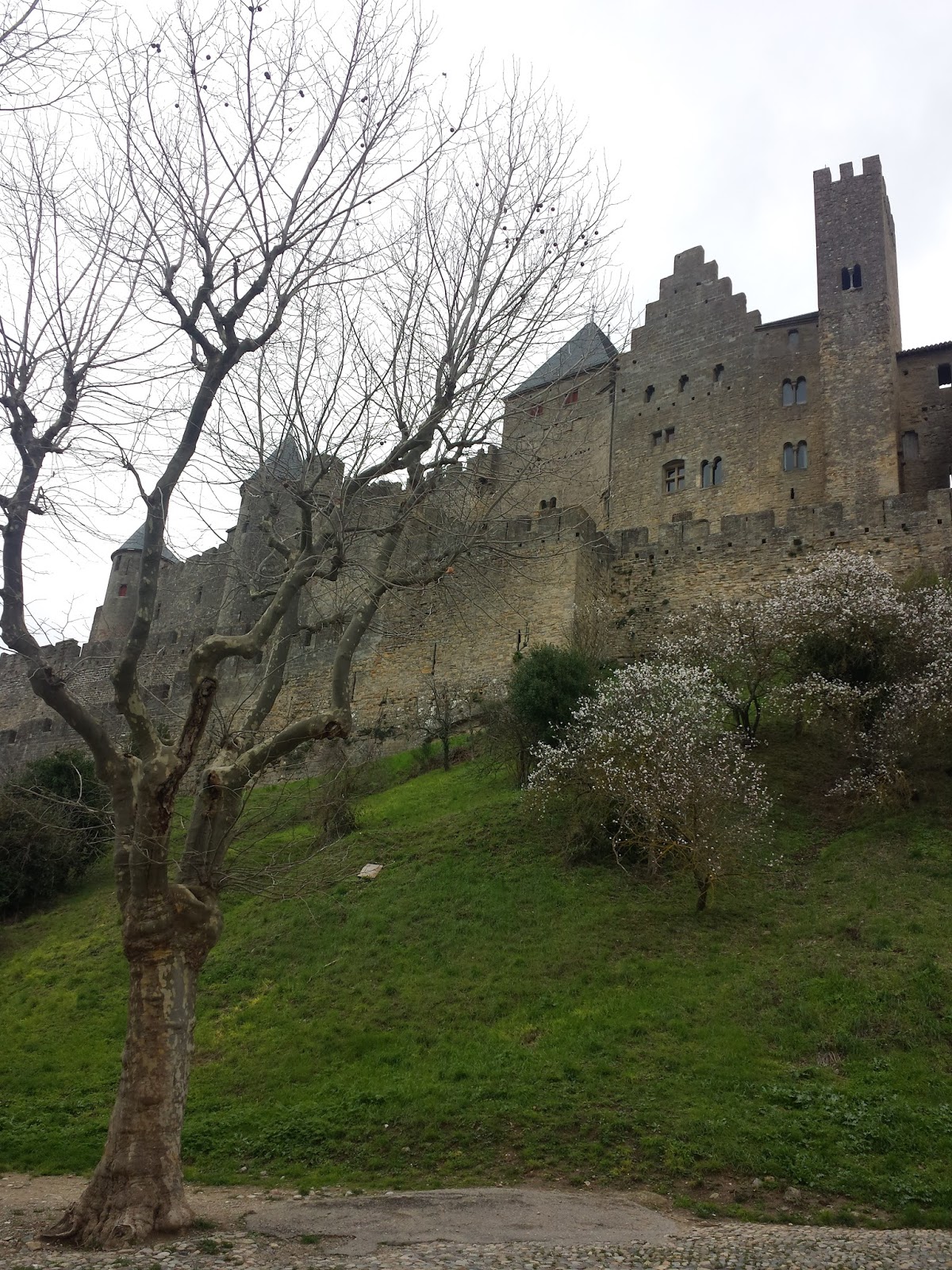 Pueblos y pueblos medievales!! Alucinantes - Blogs de Francia - CARCASSONNE, FRANCIA (6)