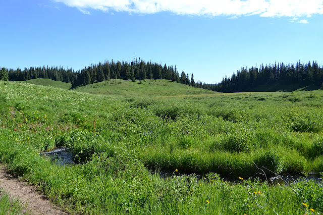 creek and meadow and trail