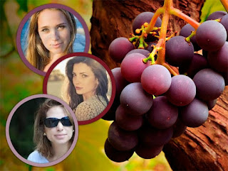 Montagem de 3 fotos Montagem de 3 fotos