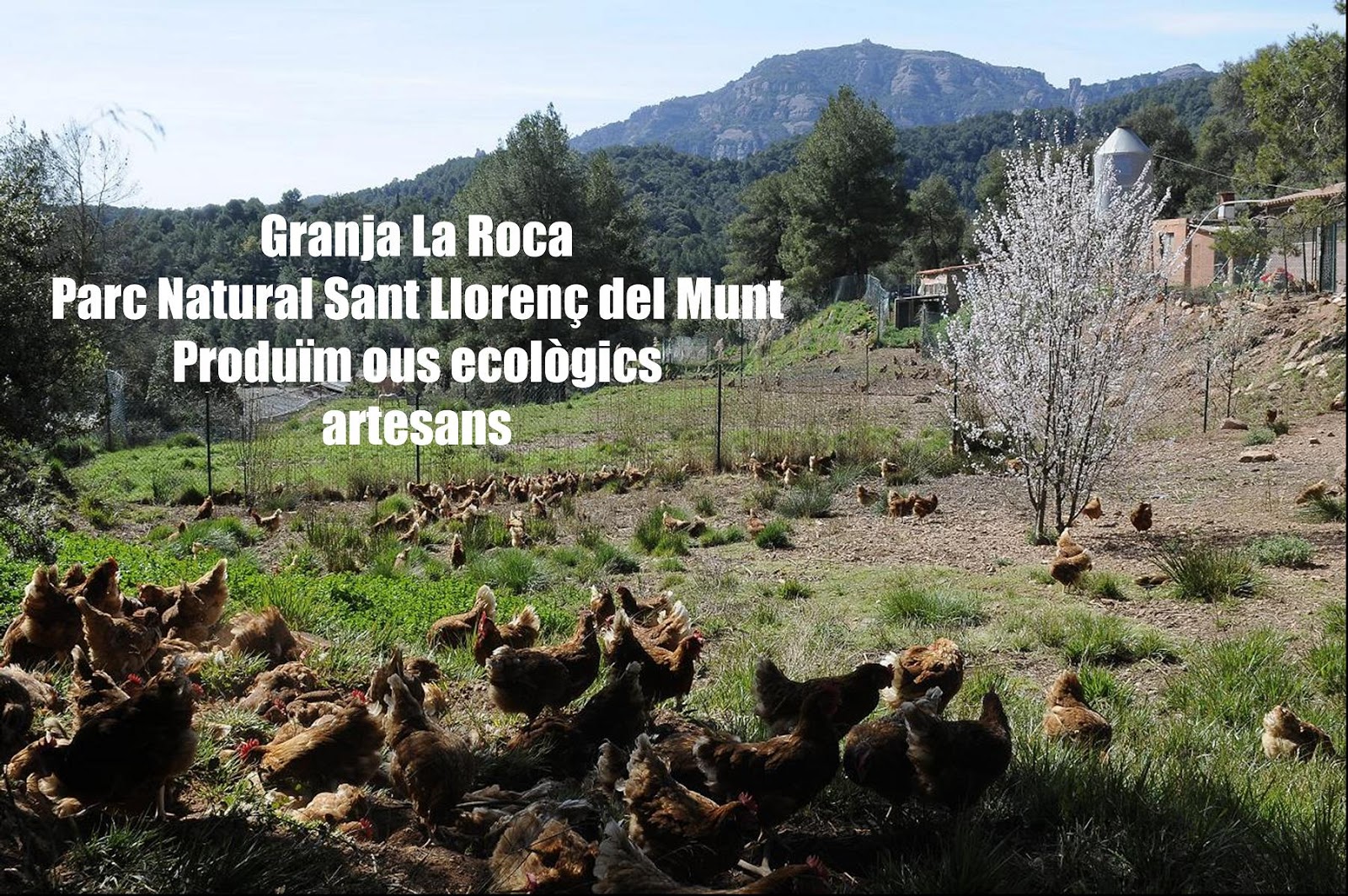 GRANJA LA ROCA ECOGRANJA LA ROCA
