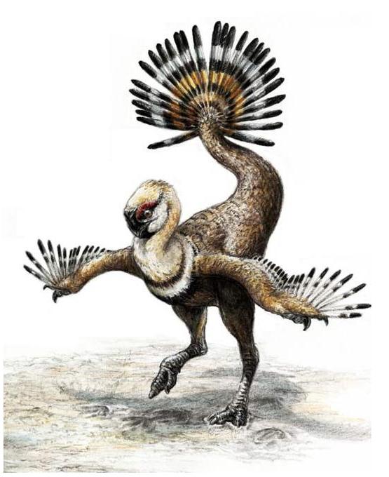 types of theropods