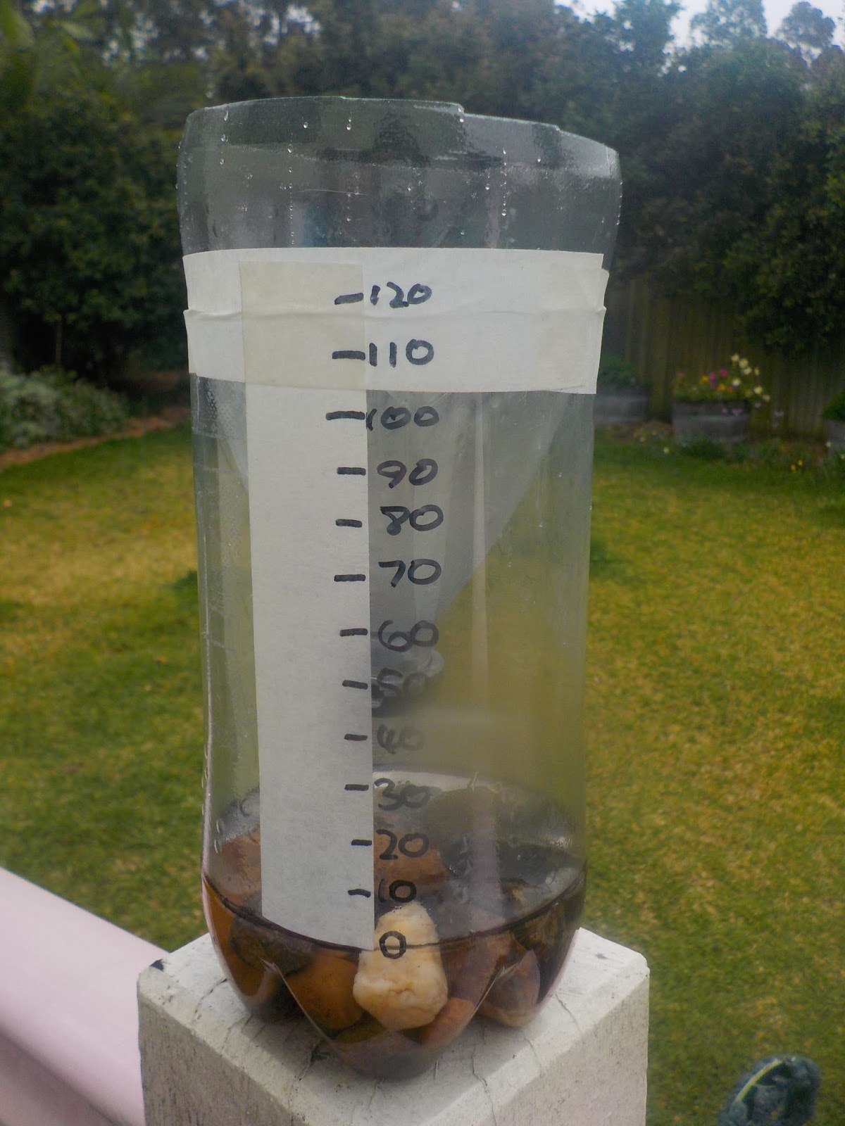 a hopeful nature Of Rain and Rainbows