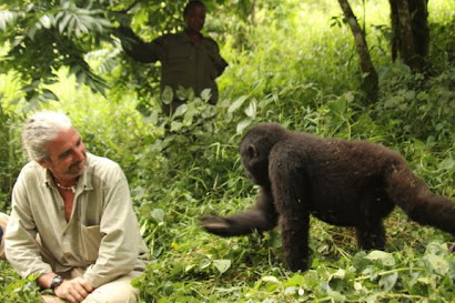 In my element, Bwindi, Uganda 2013