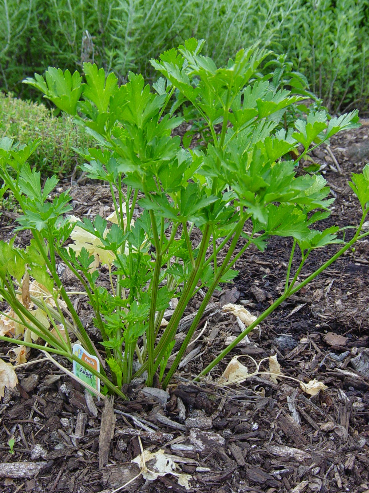 Urban, Eh? Part 1 of 2 Holy Heck, its March already!! What to Start