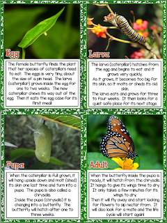 This is a great spring unit packed with fun information and activities on the theme of the Butterfly Life Cycle. This Butterfly Life Cycle unit has integrated Science and Literacy Activities (Common Core Aligned) This is such a joyous unit to do with your students! It is packed with great activities that are sure to spark your students imagination and stimulate their minds. This is a great spring unit packed with fun information and activities on the theme of the Butterfly Life Cycle. This Butterfly Life Cycle unit has integrated Science and Literacy Activities (Common Core Aligned) This is such a joyous unit to do with your students! It is packed with great activities that are sure to spark your students imagination and stimulate their minds.
