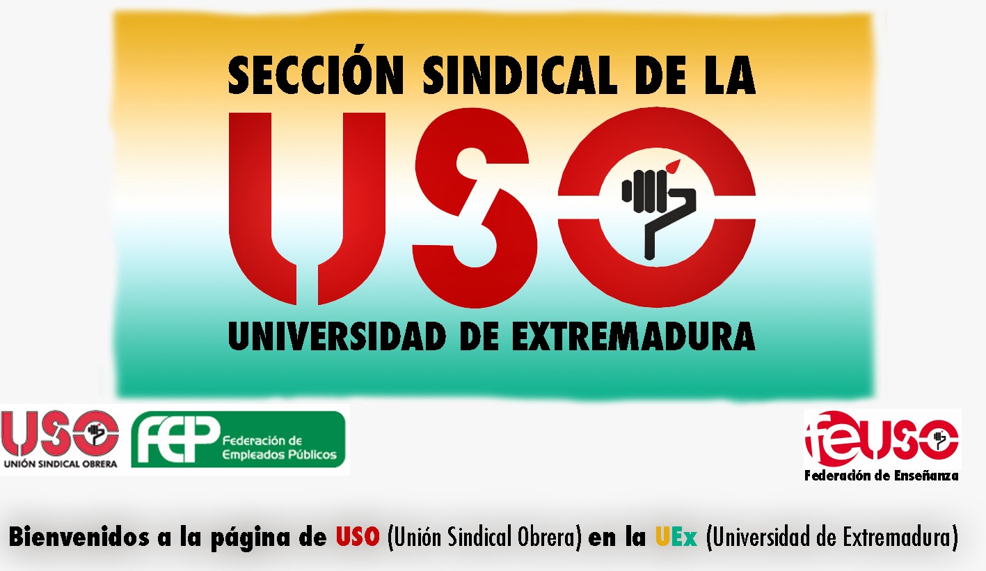 SECCIÓN UNIVERSIDAD