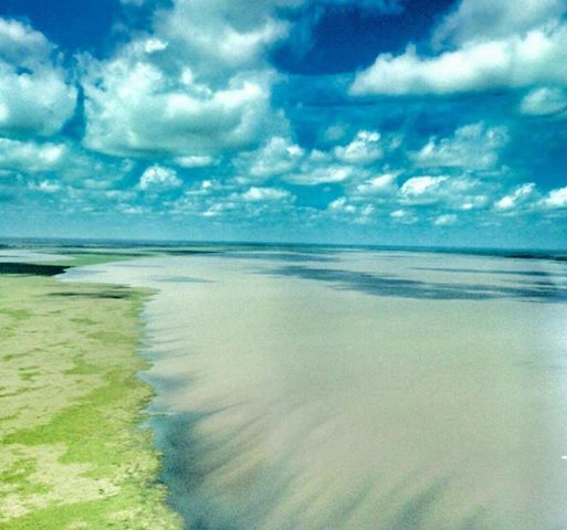 Blog da Franssinete Florenzano: Lago Arari, maior santuário ecológico do  Marajó