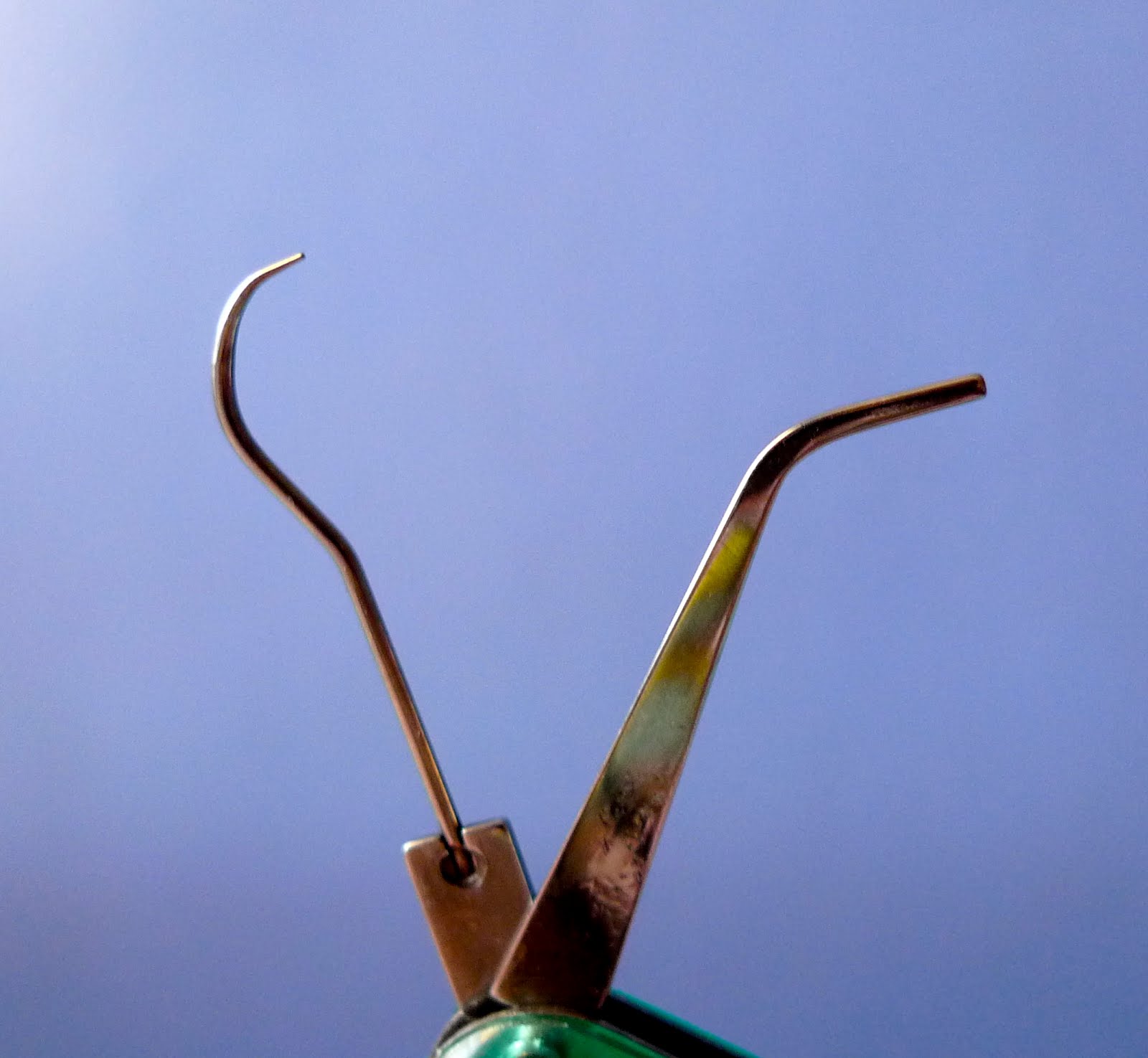 Review My Pocket Dentist from Avon