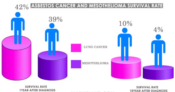 An asbestos Amphibole and Mesothelioma Statistic An asbestos Amphibole and Mesothelioma Statistic