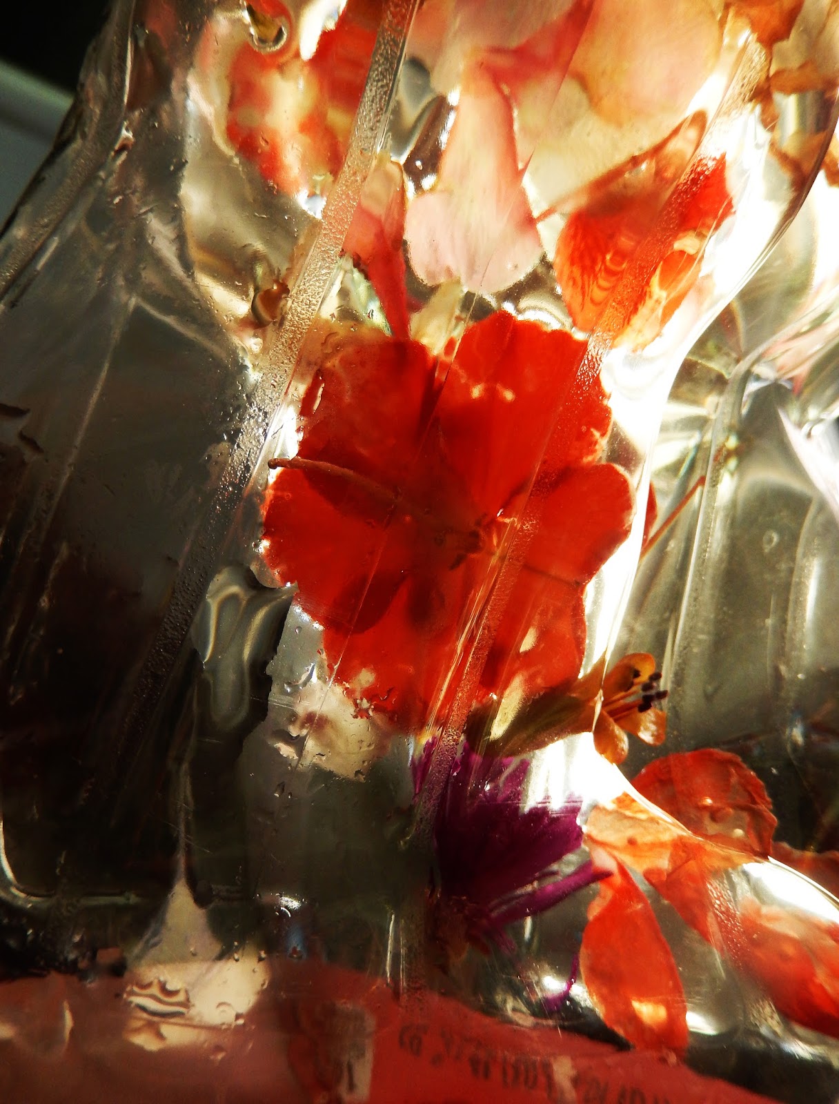 Arq. Myriam Mahiques´art Trapped flowers and petals. Flores y pétalos