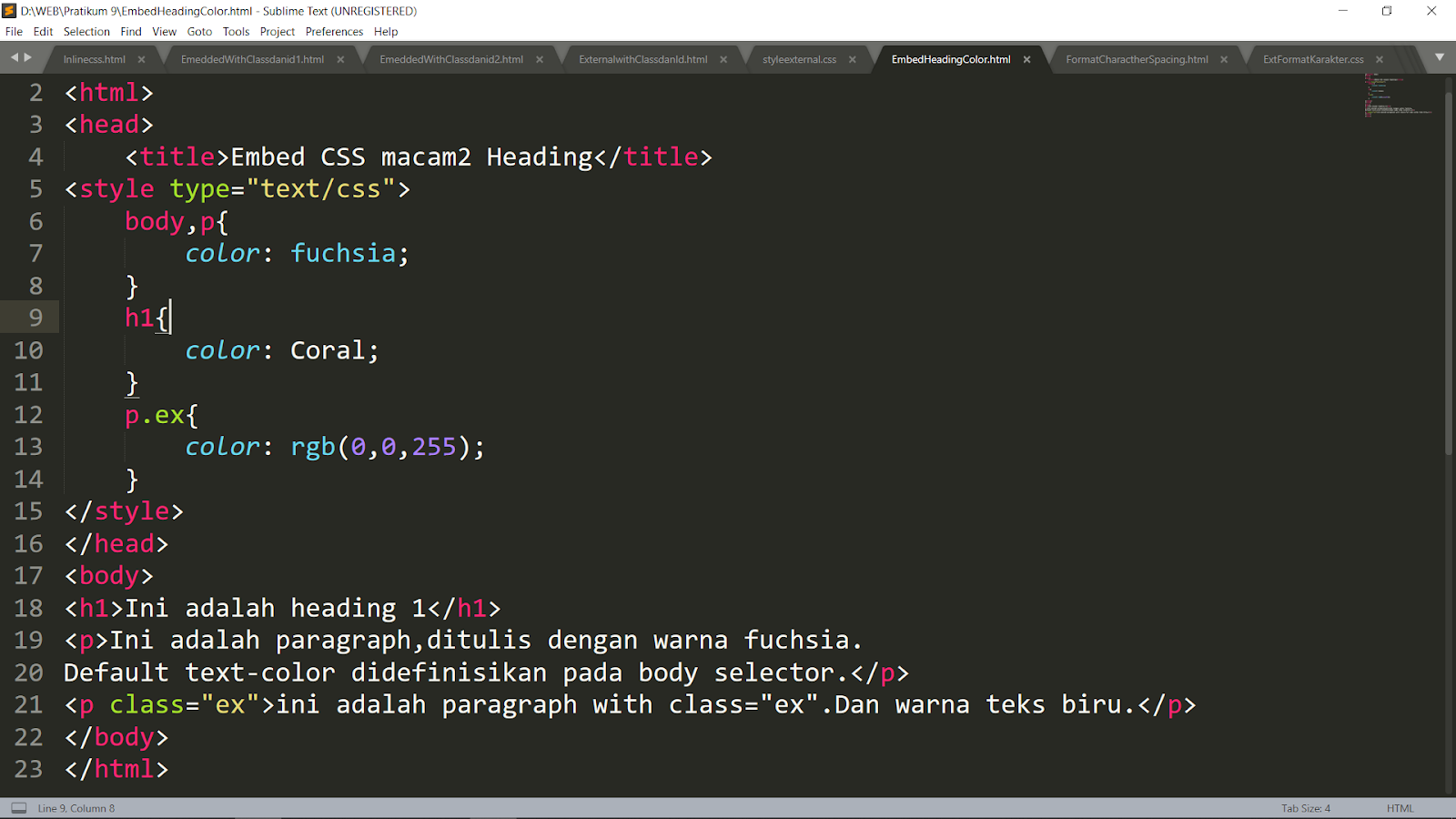 Contoh dari Casacading Style Sheet (CSS) - Serba Serbi Programming