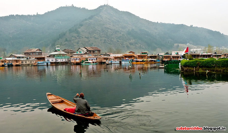 Dal Lake of Srinagar Kashmir HD Wallpaper | Beauty of Srinagar Pics | Cute  Tanishka