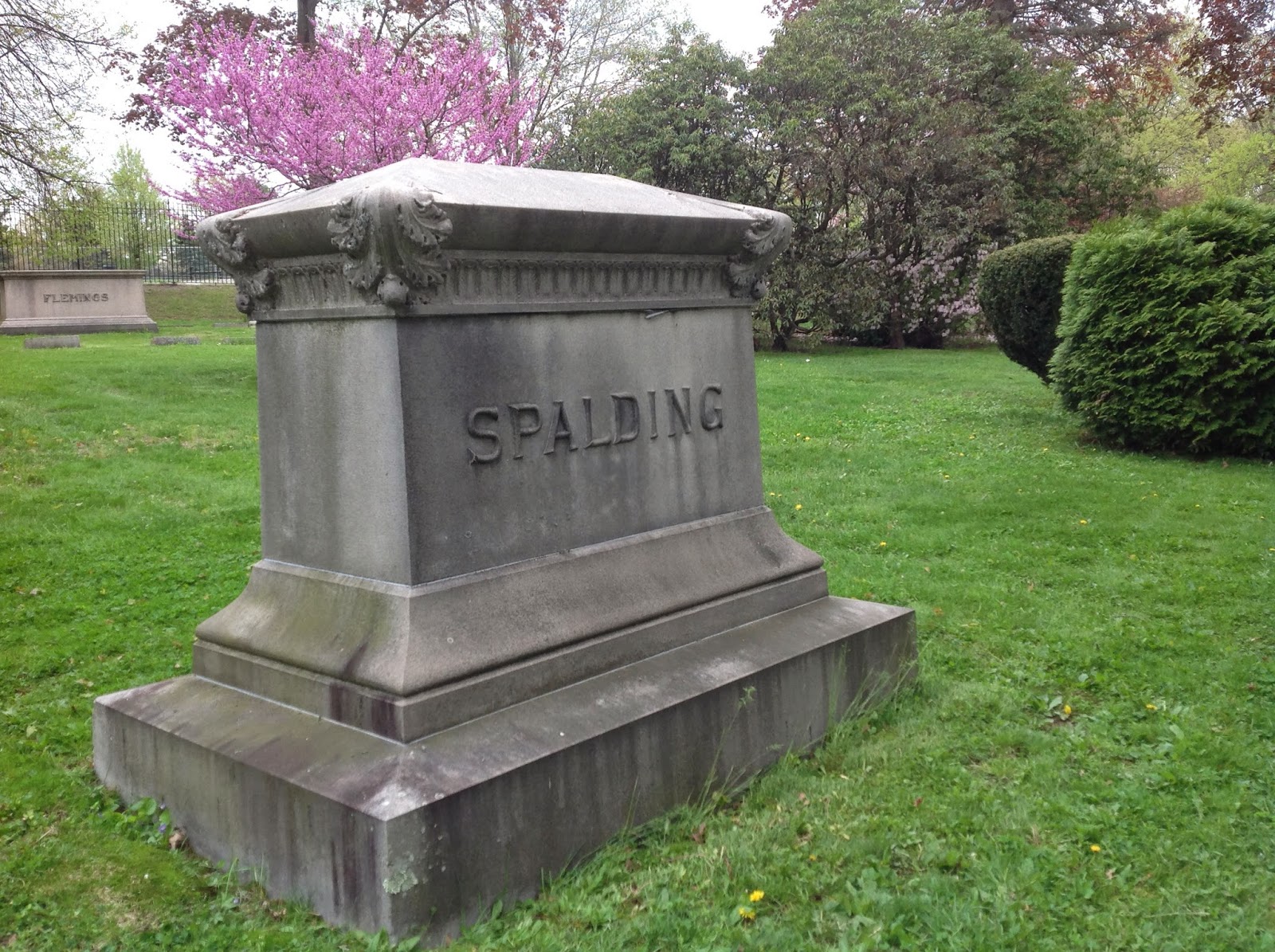 Life From The Roots Spalding Family, Lowell, Massachusetts