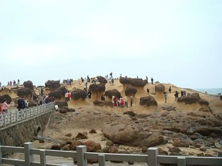 野柳地質公園|野柳風景特定區|北海岸一日遊|新北萬里景點