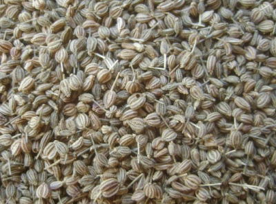 Ajwain Carom Seeds for Spice