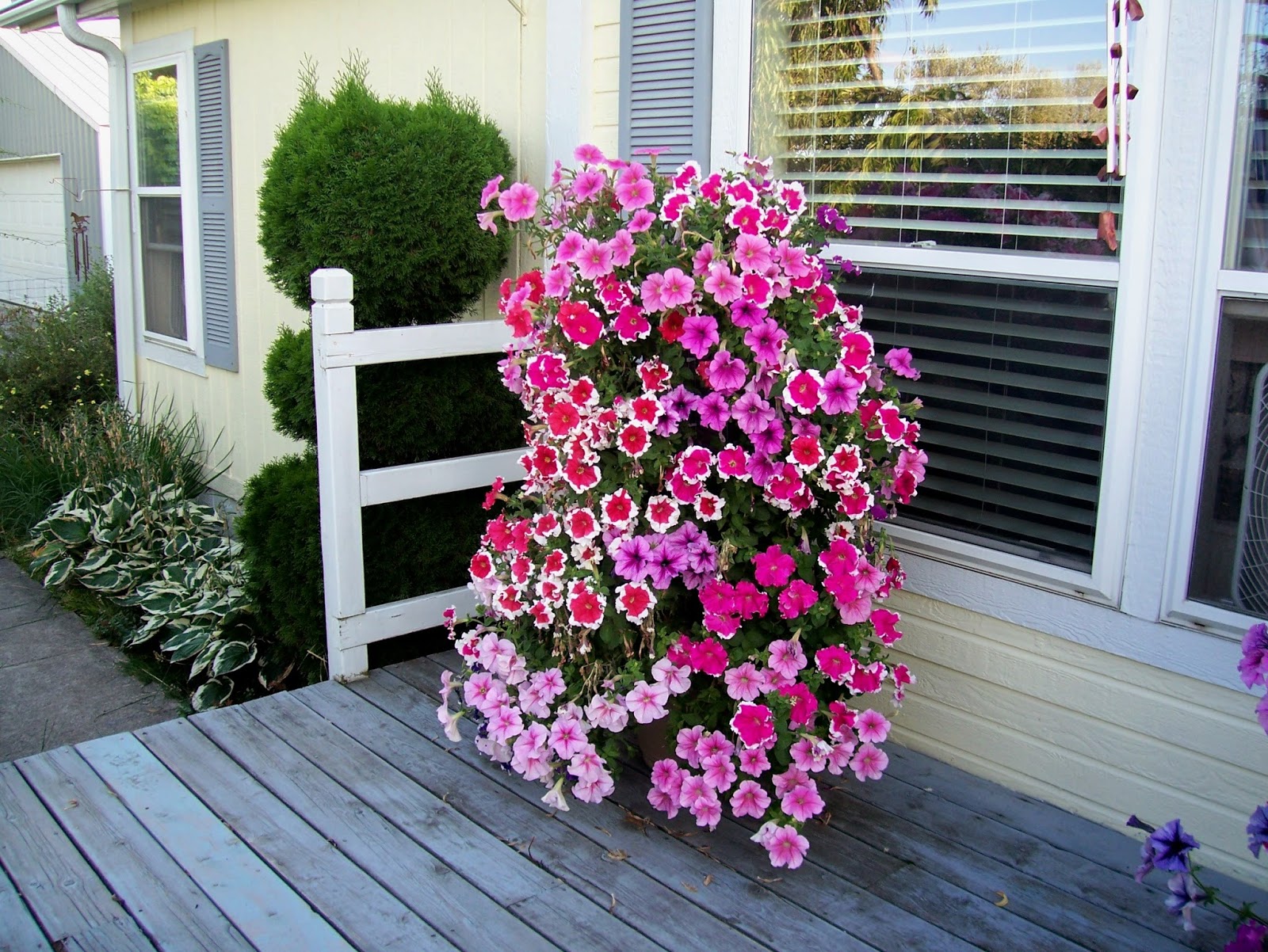 Adrienne's Corner: Flower Tower Power...