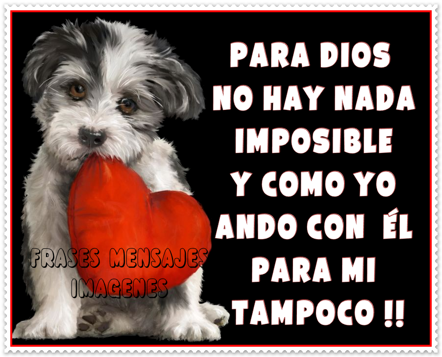 Frases Mensajes Imagenes Para Dios no hay nada Imposible Frases Mensajes Imagenes Para Dios no hay nada Imposible