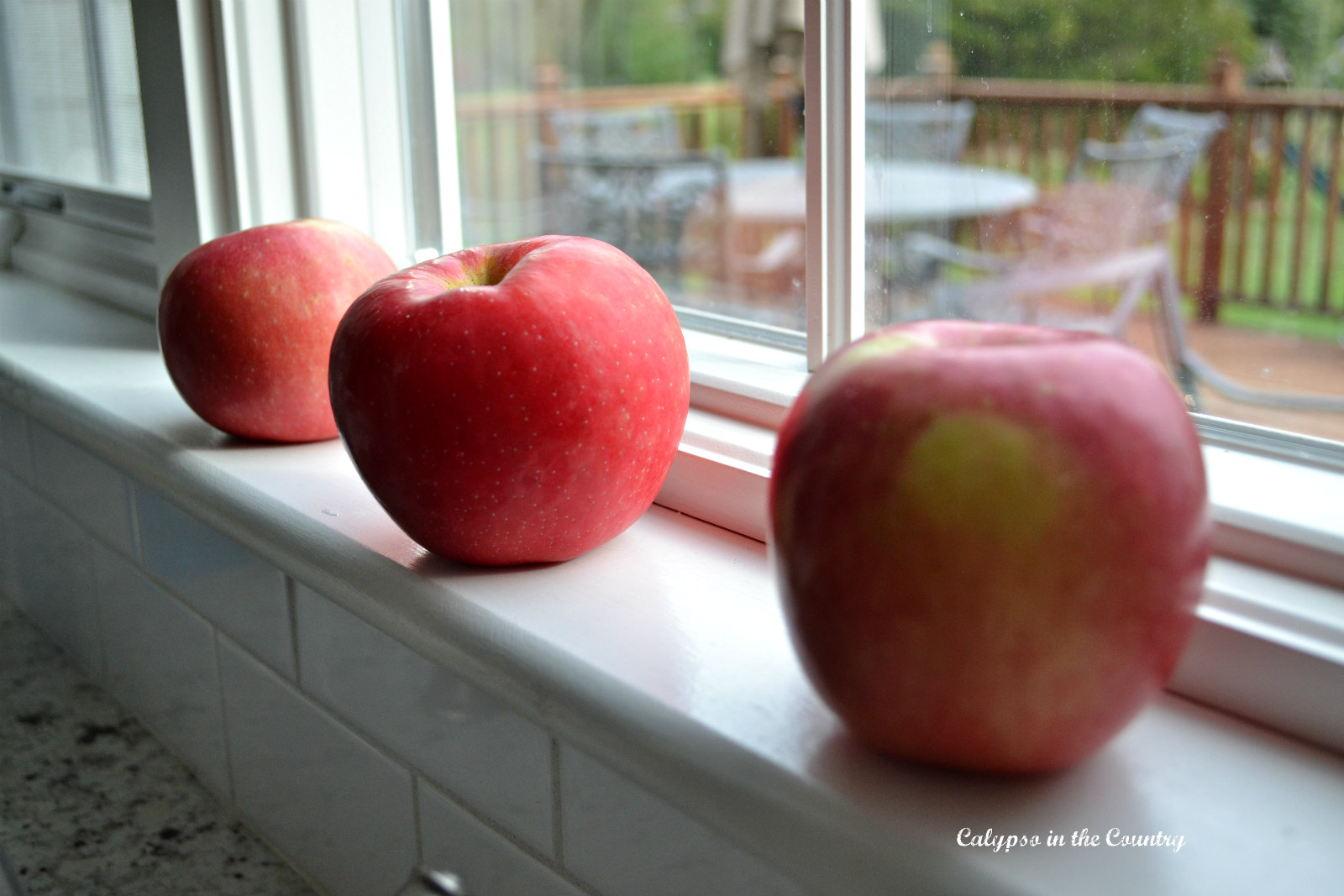 Fruits Of The Season Decorating With Apples Calypso In The Country