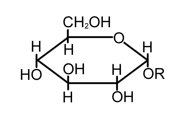 Glucosidase 葡萄糖苷酶