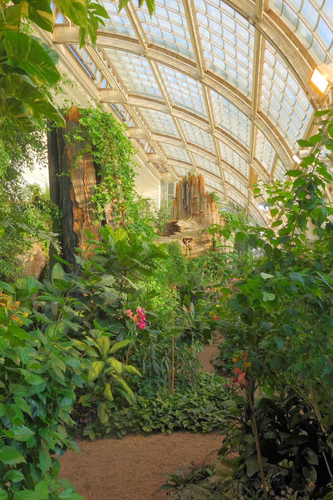 Schmetterlingshausblogg SCHMETTERLINGHAUS HOFBURG WIEN THE IMPERIAL