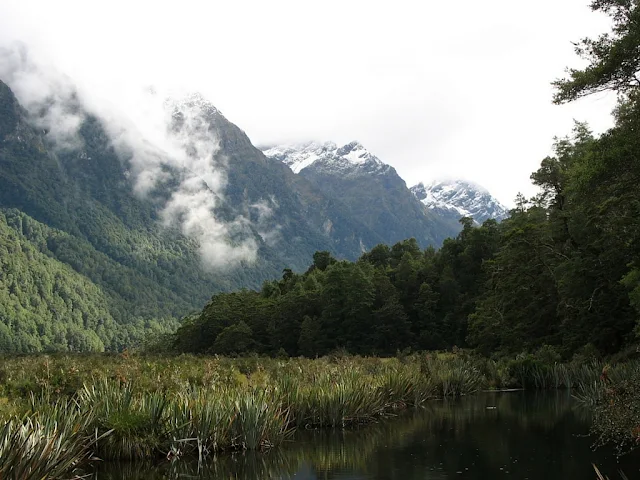 Things to do in New Zealand - Milford Sound