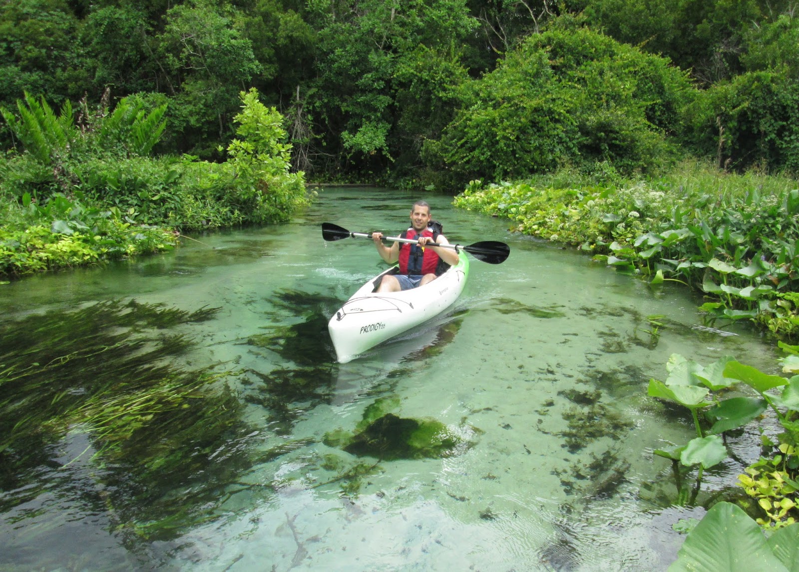 Central Florida Kayak Tours Kayaking Rock Springs Run and Emerald Cut June 3, 2015