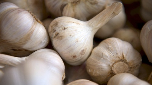 Cara Menghilangkan Jerawat Dengan Bawang Putih Cara Menghilangkan Jerawat Dengan Bawang Putih