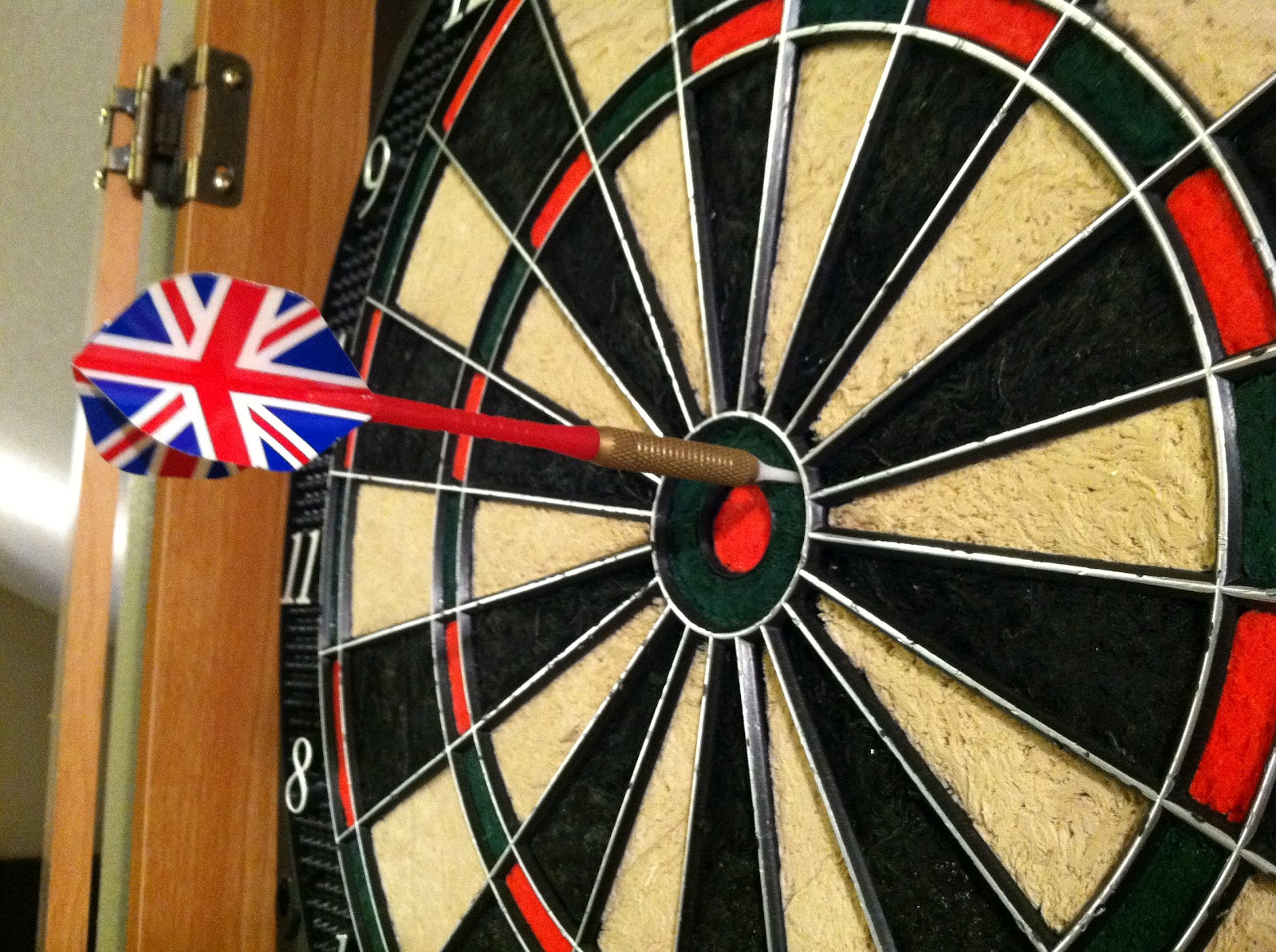 Reasonably Well Guest Post The Bearded Dog, Emily, and Therapeutic Darts