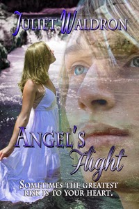 http://books-we-love-online-ebookstore.myshopify.com/products/angels-flight-by-juliet-waldron