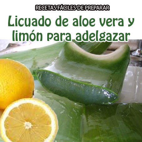 receta con aloe vera para bajar de peso