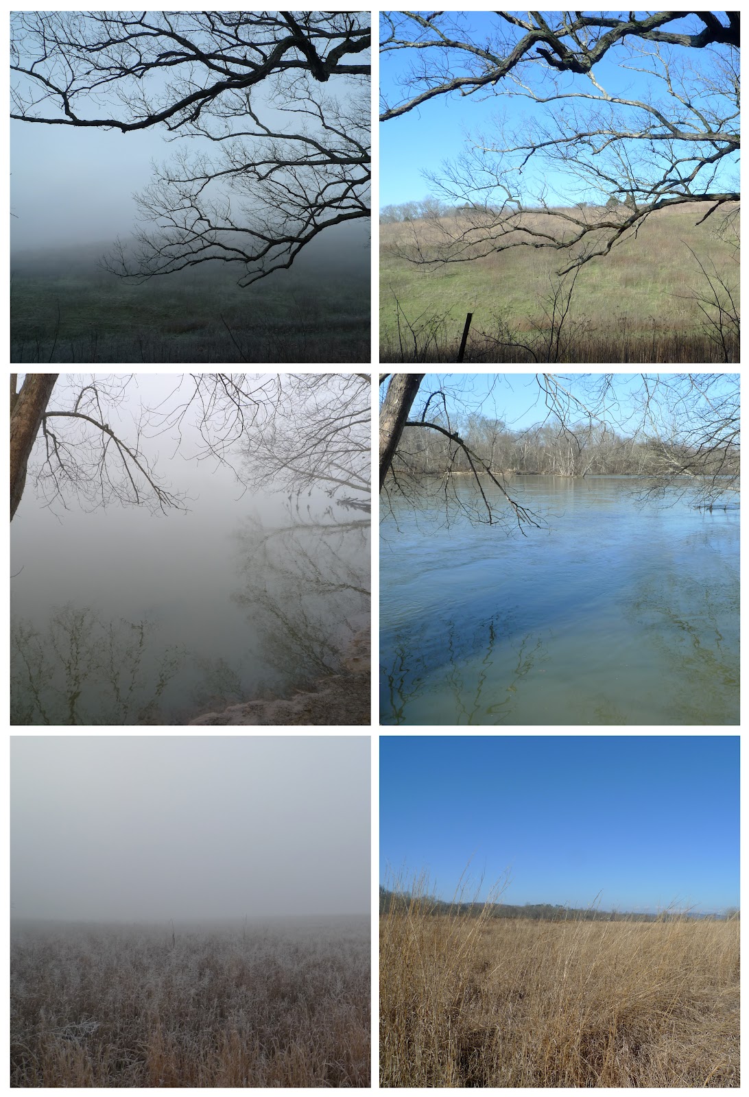 Process and Progress the fog lifts