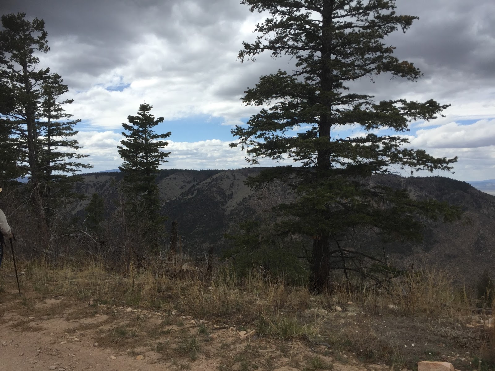 Southern New Mexico Explorer Capitan Mountains Crest Hike( FR 56, FR