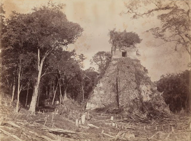 Fotografías antiguas ruinas mayas - Alfred Maudslay