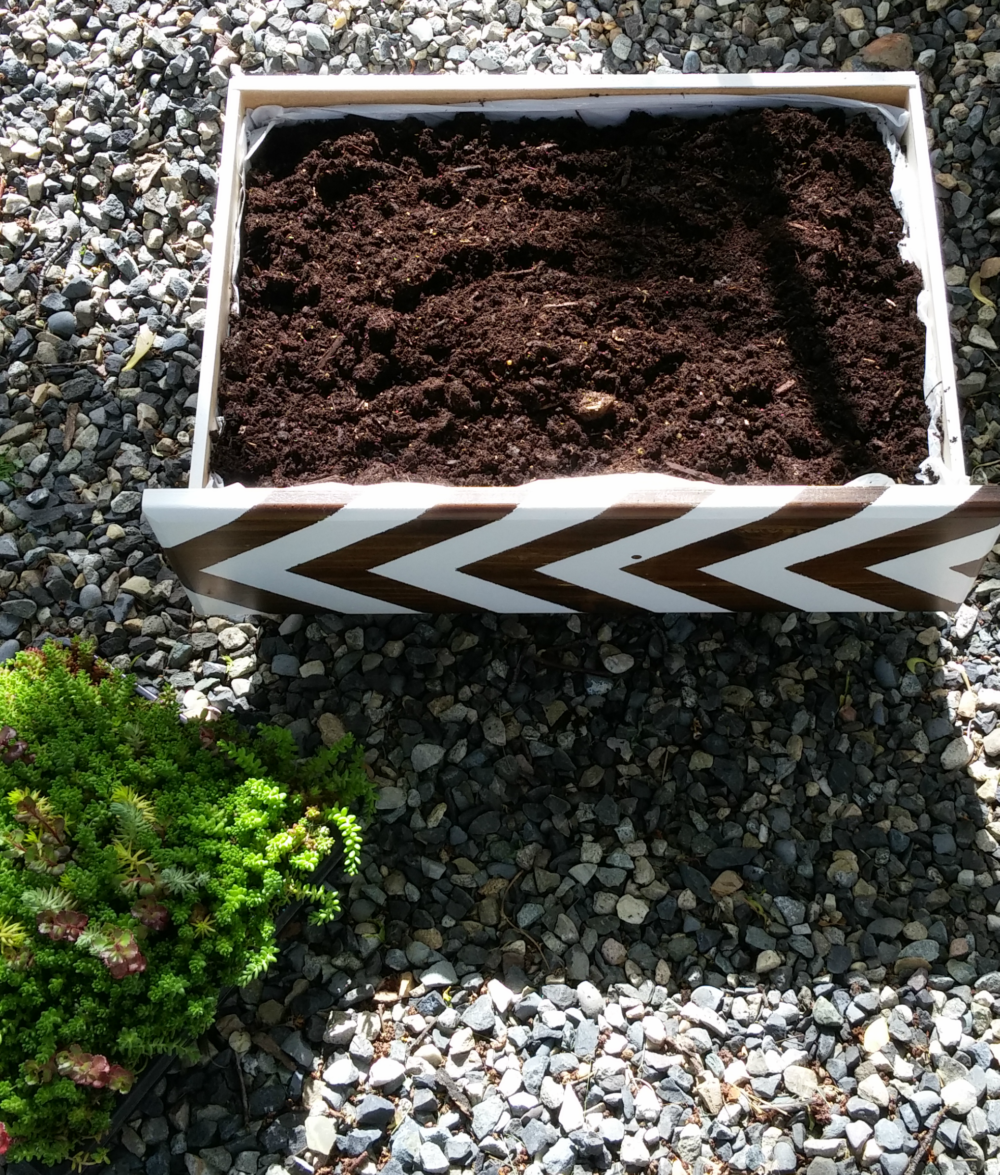 add potting soil