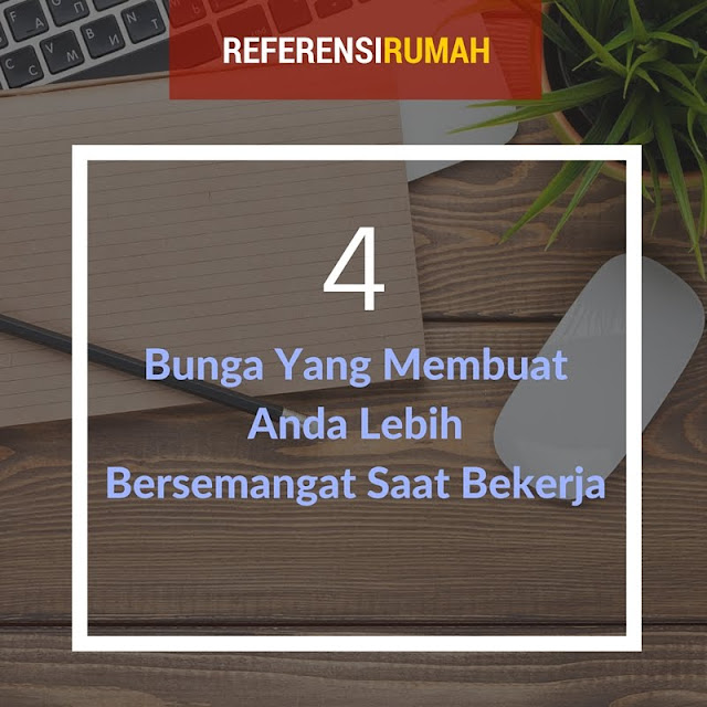 Wow! Ternyata Bunga Berikut Ini Bisa Menyemangatimu Sewaktu Bekerja Loh!