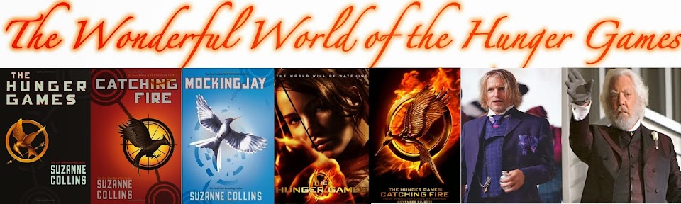 The Wonderful World of The Hunger Games