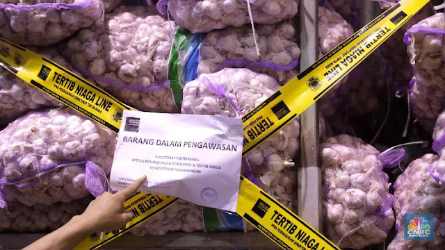 5 Fakta Impor Bawang Putih RI, Raja Impor Terbesar di Dunia 5 Fakta Impor Bawang Putih RI, Raja Impor Terbesar di Dunia