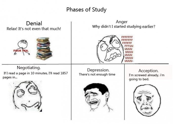 Phases Of Study - Denial Anger Negotiating Depression Acception Jokes