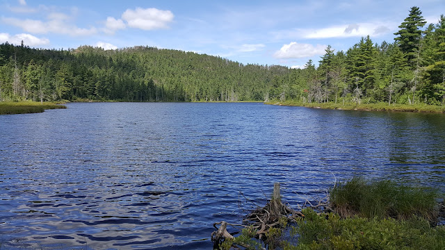 lac Johnston