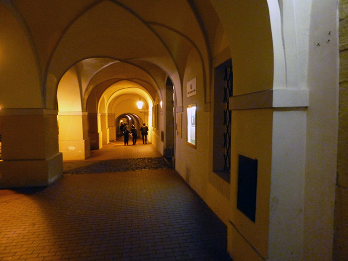 AAA ACCADEMIA AFFAMATI AFFANNATI Praga. Diavoli portabambini, uccelli